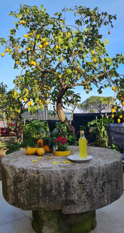 Rita Home B&B Sorrento Esterno foto